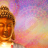 20100913064642-cosmic_alignment_web