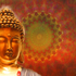 20100913065017-embrace_web