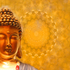 20100913065142-clarity_web