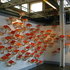 20100913143942-99afullsize