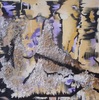 20100914081030-nina_brkic