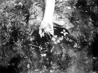 Untitled from Etant Donnes,