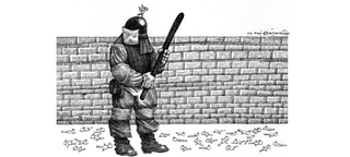 ,Touka Neyestani