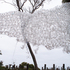 20100914164851-cloud_wing