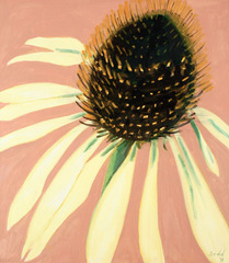 Echinacea,Lois Dodd