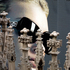 20100916073918-onlyinmilan