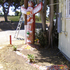20100916114718-pinata