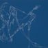 20100917004656-blurred_reformed_dissected_web