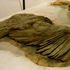 20100917021553-condor__birds___1999