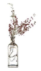 Pink Heather,Joanne Koltnow