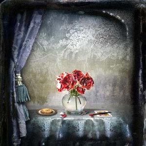 23alice