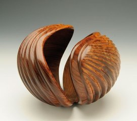 Retusa Scallops,William Hunter