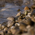 20100918153429-_mg_0677