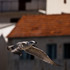 20100918154215-_mg_0852_1