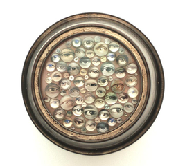 Compound Eye,Beverly Rayner
