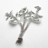 Hutchins_jade_plant_reduced