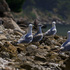 20100919154241-img_0278