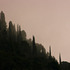 20100919164400-img_4971