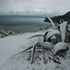 20100919174051-img_5260