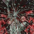 Schoultz_libertywasacasualty