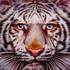 20100920125151-jones_higgins_a