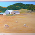 20100920132634-redhill_farms_sheep