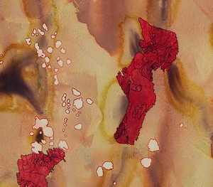20100920161807-7_pfowler_untitled__red_and_pink__detail