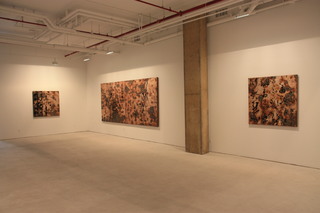 Installation shot,Feng Mengbo
