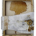 20100921173256-i-gamache-nice