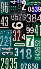 Green Seven,Robert Larsen