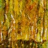 20100922113418-agi1