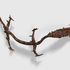 20100923085310-enter_the_dragon_roadkill