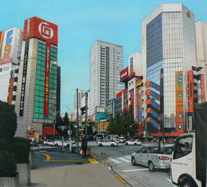 20100923113201-akihabara_2cullom