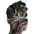 20100923143408-david_on_acid