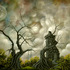20110506094349-magic_wonder_land