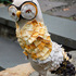 20100924120346-owl