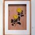 20100925022510-chen_hangfeng_winds_blow_from_the_west_chrysanthamum