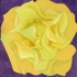 Total_art_of_peace