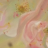 Pink_wedding_3