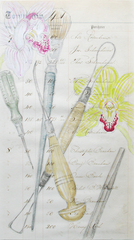 ,Sharon Bladholm