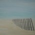 20100925130427-vineyardnewyears_001