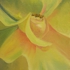 Warm_sympathetic