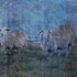 20100926013122-highlanders_2010