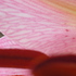 20100926091637-petalpollen