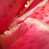 20100926092314-lillyred