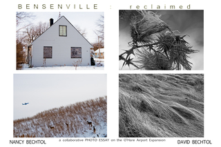 Bensenville: reclaimed,Nancy Bechtol, David Bechtol
