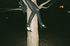 20100928001824-jen_and_ginas_in_a_tree
