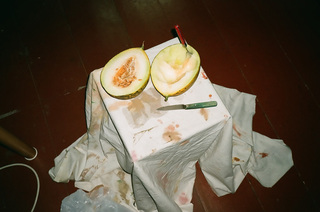 melon blanc,Maxime Ballesteros