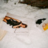 20100928002212-fashion_week_-_nyc
