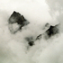 20100928094724-mfold_life_petersutherland_web